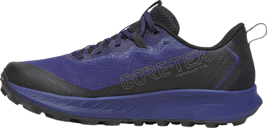 Кецове и обувки Saucony PEREGRINE 15 GTX Лилаво | s20992-262, 1