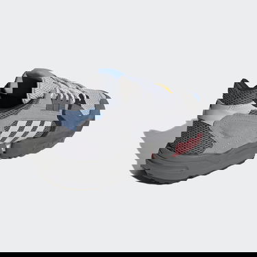 Кецове и обувки adidas Originals Ninja ZX Torsion Сиво | FW5957, 1