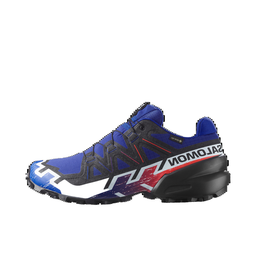 Кецове и обувки Salomon Speedcross 6 Gtx Equipe Многоцветен | L47982800
