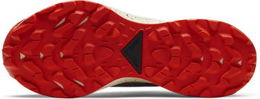 Кецове и обувки Nike Pegasus Trail 2 GTX W Кафяво | cu2018-002, 1
