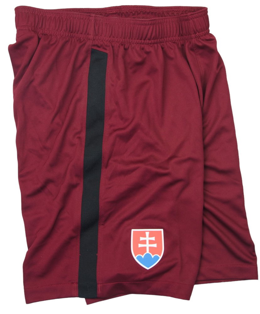 Къси панталони Nike SFZ M SHORT GK PR Червено | cd8374-677