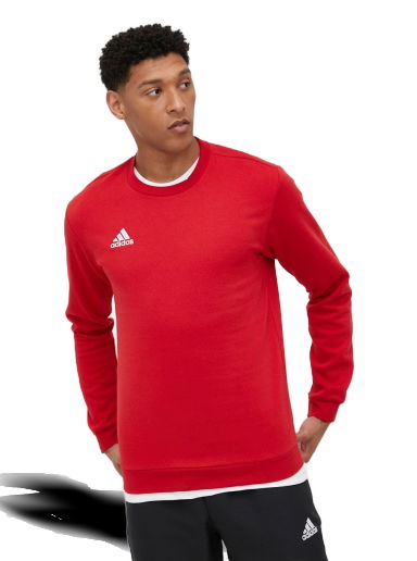 Суитчър adidas Originals Sweatshirt Entrada 22 Червено | hb0577