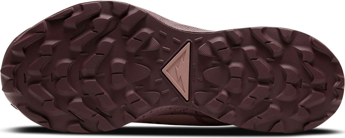 Кецове и обувки Nike Pegasus Trail 2 GTX W Розово | cu2018-200, 1