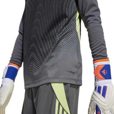 Фланелка adidas Originals T25 Long Sleeve Goalkeeper Jersey Черно | jn2019, 1