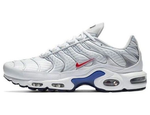 Кецове и обувки Nike Air Max Plus Euro Tour Металик | CW7575-001