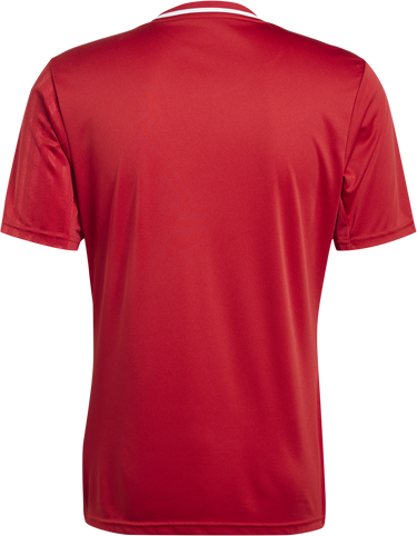 Фланелка adidas Originals Adidas Campeon 25 Jersey Червено | jf6058, 2