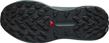 Кецове и обувки Salomon Salomon GENESIS GTX Сиво | l47589000, 4