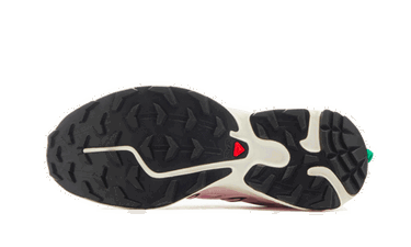 Кецове и обувки Salomon Sandy Liang x XT-6 Розово | L47242200, 2