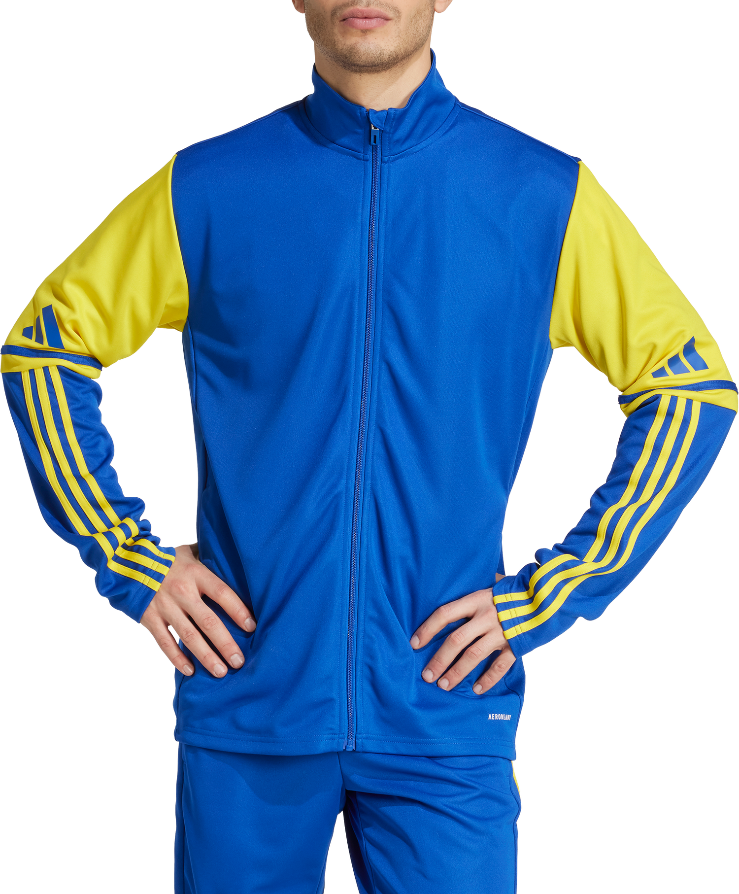 Комплект adidas Originals adidas Squadra 25 Track Jacket Синьо | jp3153, 0