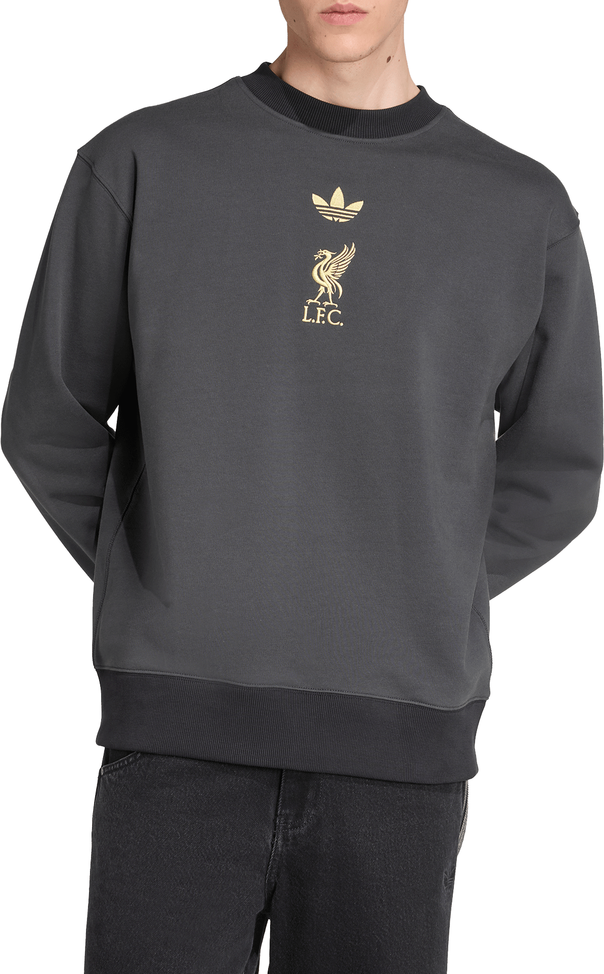 Суитчър adidas Originals FC Liverpool Lifestyler Sweatshirt Сиво | kc7801, 1