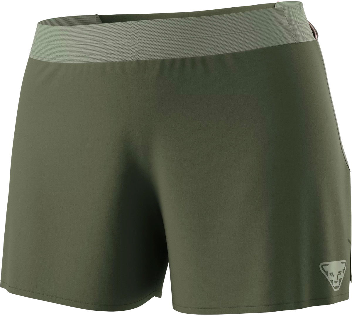 Къси панталони Dynafit SKY Shorts Зелено | 08-0000071654-5561, 1