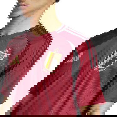 Фланелка adidas Originals RBFA H JSY 2024 Бургунди | iq0769, 5