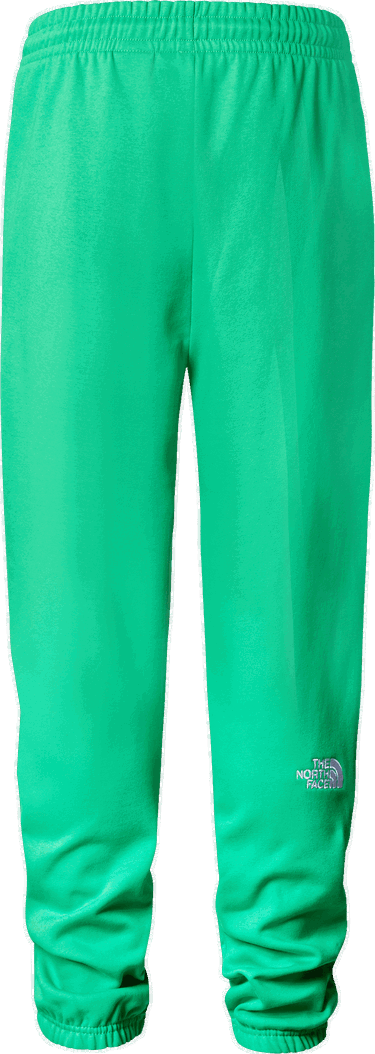 Спортни панталони The North Face Essentials sweatpants Зелено | nf0a7zjb-po8, 1