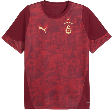 Фланелка Puma Galatasaray Istanbul Patterned DRYCELL Training Jersey Бургунди | 949105-003, 0