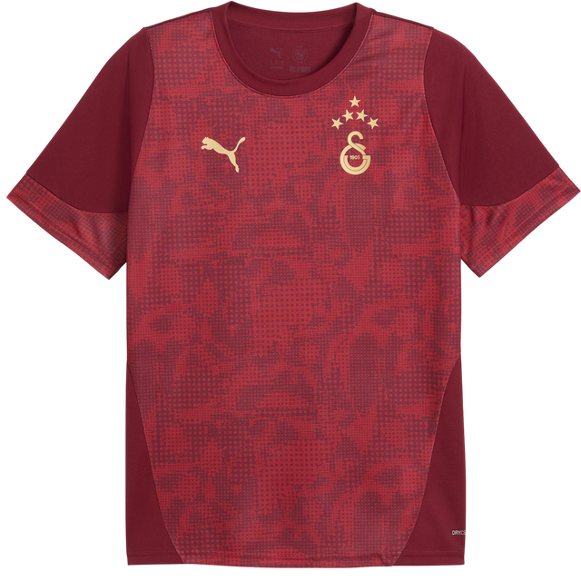 Galatasaray Istanbul Patterned DRYCELL Training Jersey