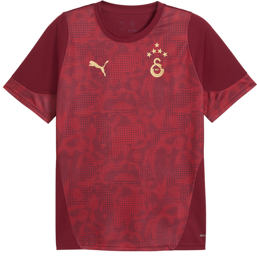 Фланелка Puma Galatasaray Istanbul Patterned DRYCELL Training Jersey Бургунди | 949105-003