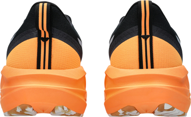 Кецове и обувки Asics NOVABLAST 5 LITE-SHOW Многоцветен | 1011c119-400, 1