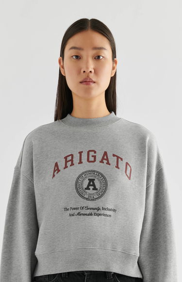 Суитчър AXEL ARIGATO University Sweatshirt Сиво | A2314002, 5