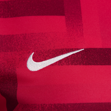 Тениска Nike Dri-FIT England Academy Pro Червено | FJ2814-660, 1