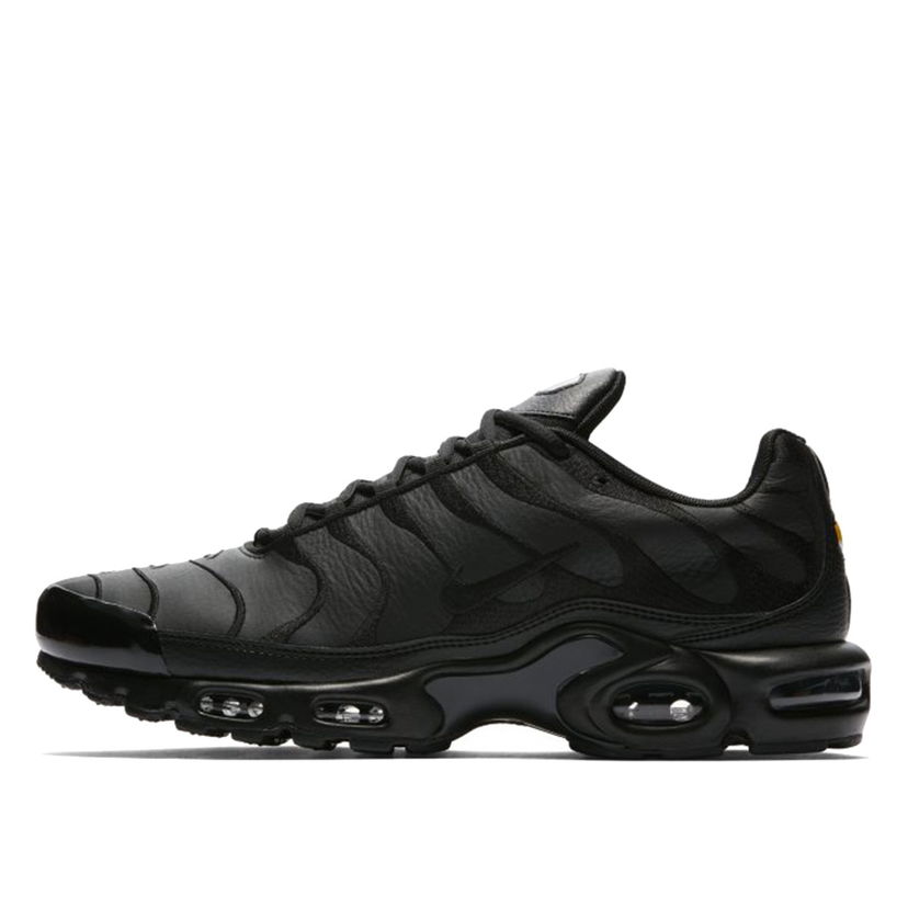 Кецове и обувки Nike Air Max Plus Черно | AJ2029-001