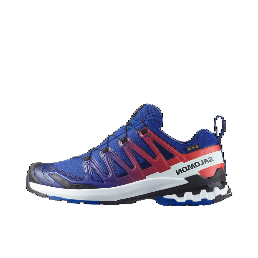 Кецове и обувки Salomon Xa Pro 3d V9 Gtx Equipe Многоцветен | L47982600