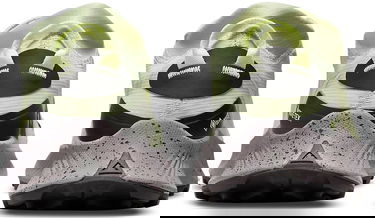 Кецове и обувки Nike Pegasus Trail 3 GTX Зелено | dc8794-301, 4