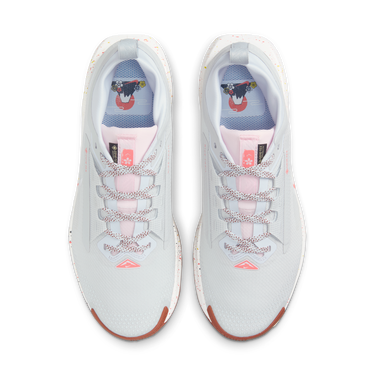 Кецове и обувки Nike Pegasus Trail 5 GORE-TEX Бяло | FQ0912-007, 1