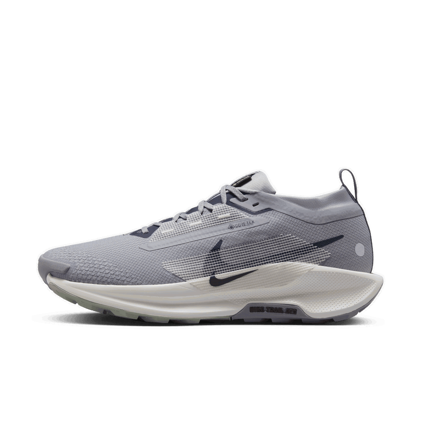 Бягане Nike Pegasus Trail 5 GORE-TEX Сиво | FQ0908-006