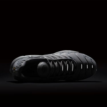 Кецове и обувки Nike Air Max Plus Сиво | 852630 021, 3