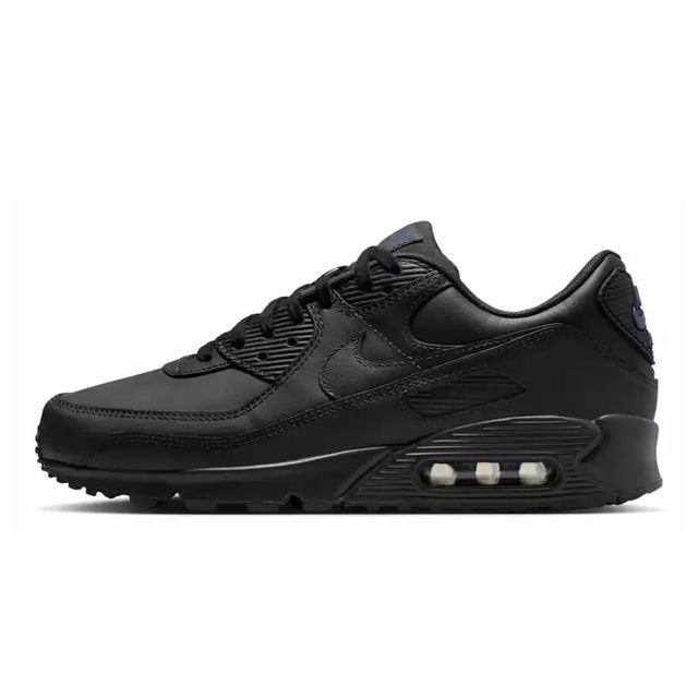 Air Max 90 "Dark Smoke Sanded Purple"