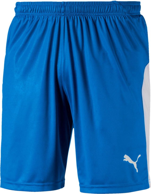 LIGA Core Shorts