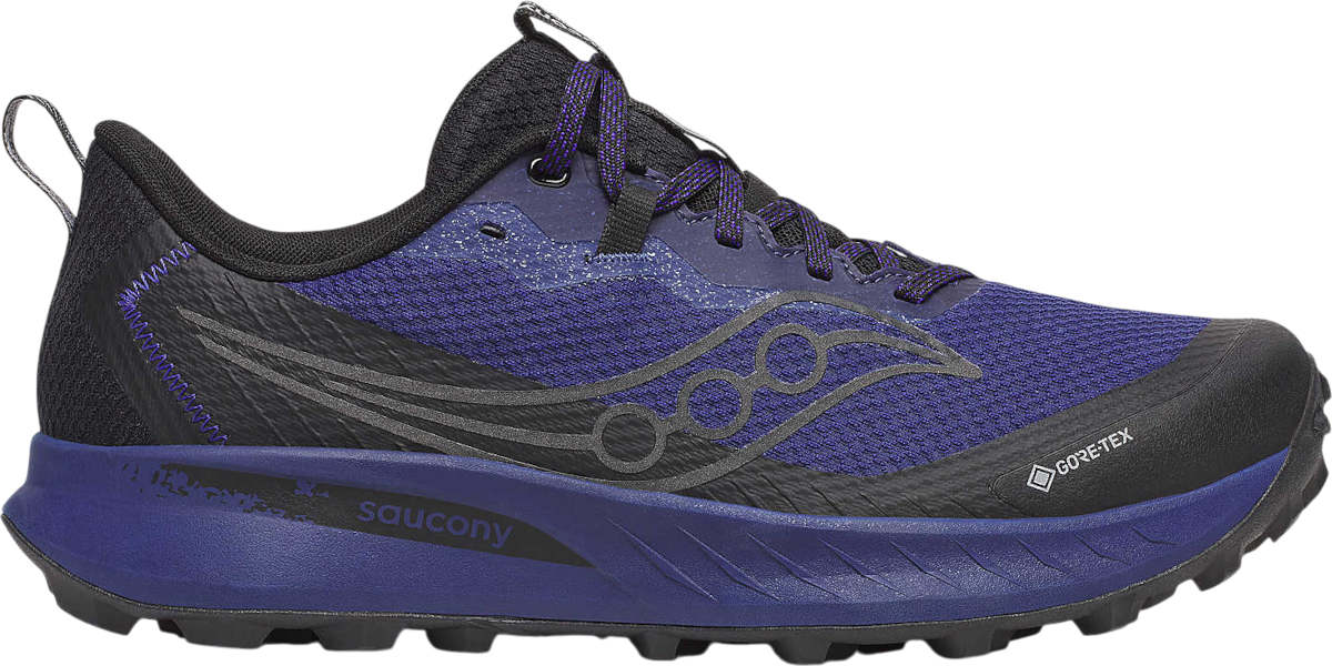 Кецове и обувки Saucony PEREGRINE 15 GTX Лилаво | s20992-262, 0