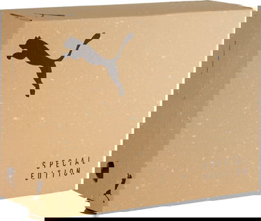 Кецове и обувки Puma Puma KING ULTIMATE FG/AG Черно | 107554-01, 4