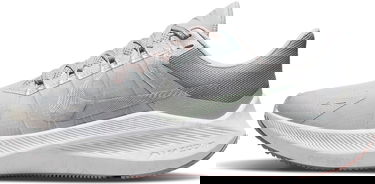 Кецове и обувки Nike Winflo 8 Premium W Сиво | da3056-001, 0