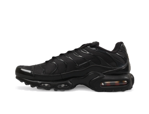 Кецове и обувки Nike Air Max Plus Черно | 604133-050