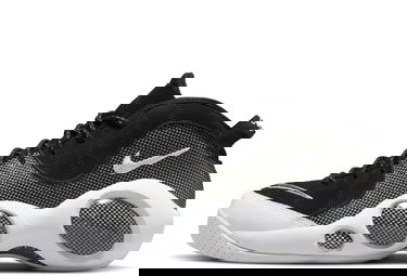 Кецове и обувки Nike Air Zoom Flight 95 "Black Metallic" Черно | DM0523-001, 1