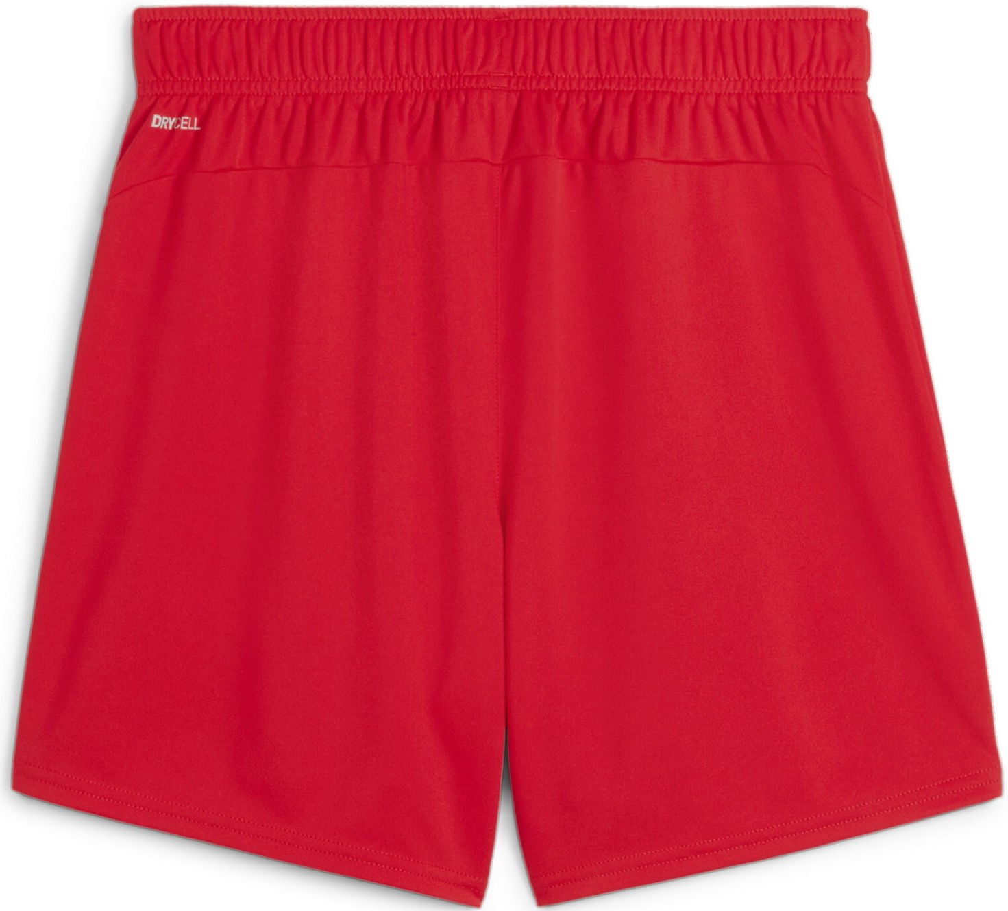 Къси панталони Puma teamGOAL Shorts Wmns Червено | 705754-01, 1