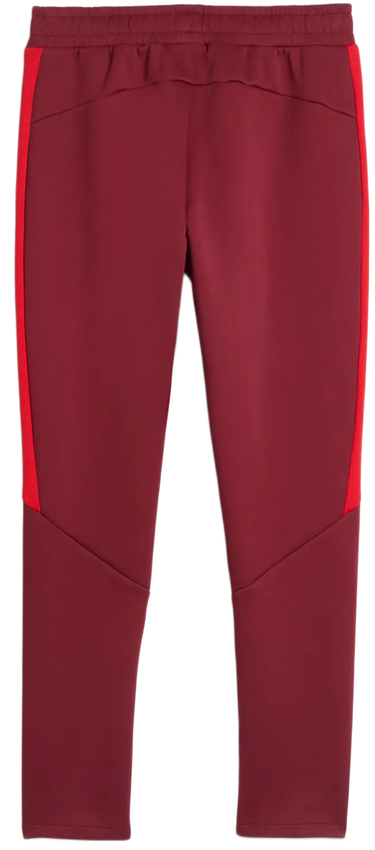 Спортни панталони Puma Red Bull Salzburg Evostripe Pants Бургунди | 781768-10, 2