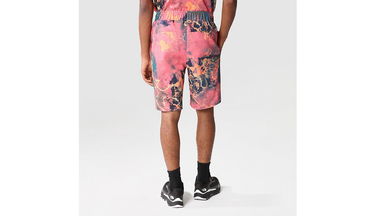 Къси панталони The North Face M Summer Logo Shorts Многоцветен | NF0A8237IOC, 6