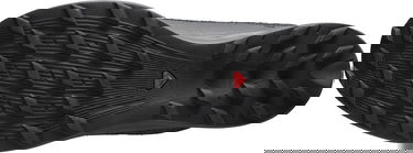 Кецове и обувки Salomon S/LAB S/LAB PULSAR SG Сиво | l41651800, 5