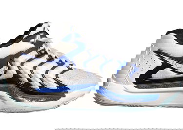 Кецове и обувки Nike KD 17 Penny Сиво | FJ9487-100, 0