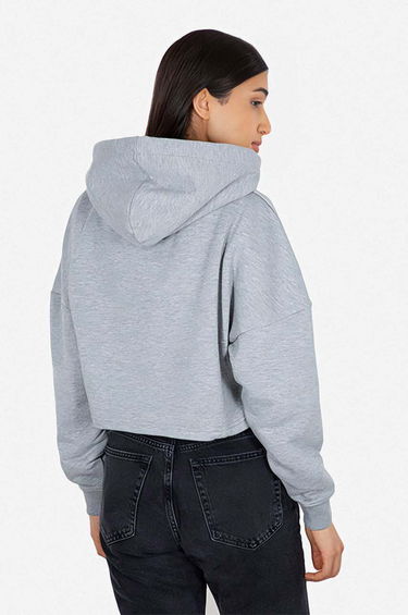 Суитчър Alpha Industries Cropped Hoodie With Print Сиво | 116057.230, 1