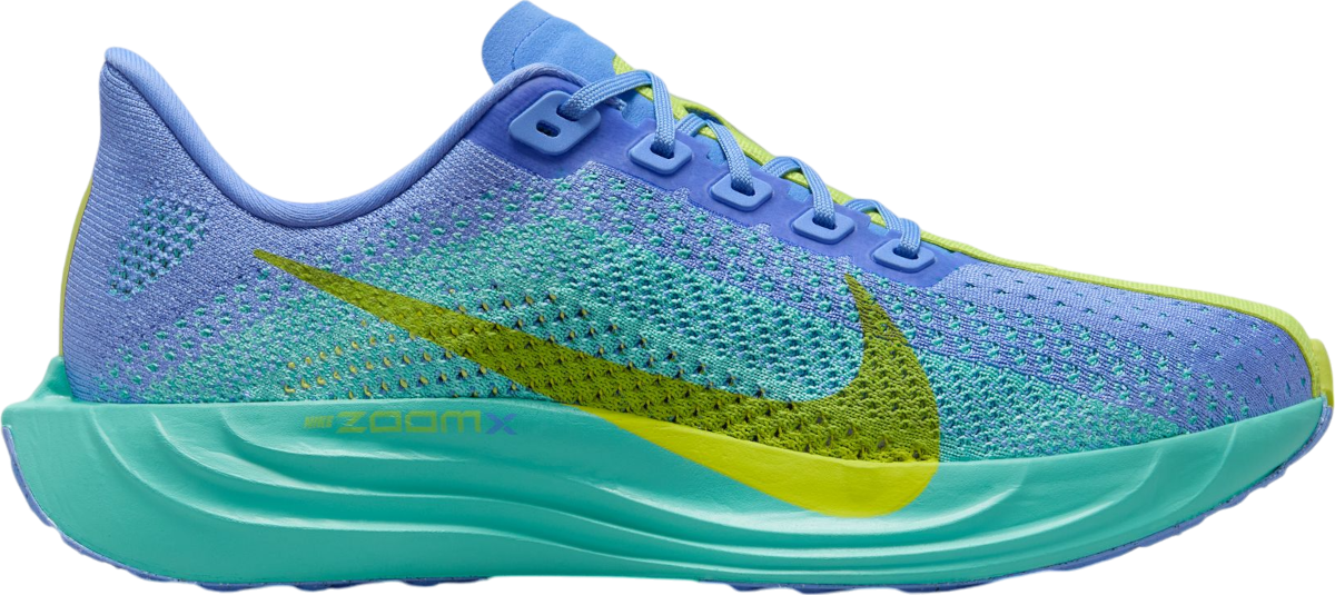 Кецове и обувки Nike Pegasus Plus Многоцветен | fq7261-401, 0
