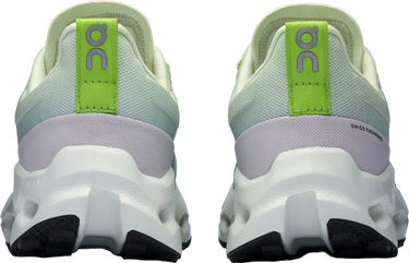 Кецове и обувки On Running Cloudsurfer Trail Waterproof Зелено | 3we10292850, 4