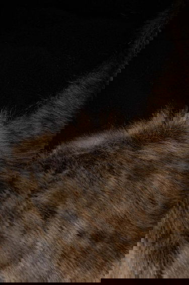 Шапка Barbour Barbour Trapper Hat Черно | MHA0711, 3