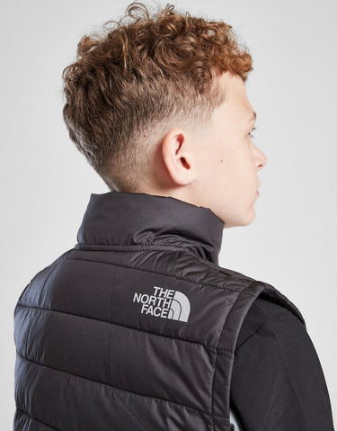 Жилетка The North Face The North Face Gilet Vest Черно | NF0A8FEXJK31, 3