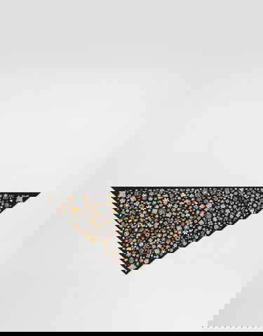 Шал Dolce & Gabbana Dolce & Gabbana Silk Twill Jewel Print Stole Черно | FS326AGDDAYHN5SA, 0