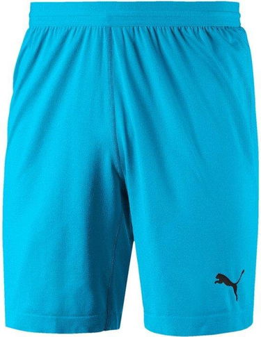 Къси панталони Puma FINAL evoKNIT GK Shorts Тюркоазено | 70345508, 0