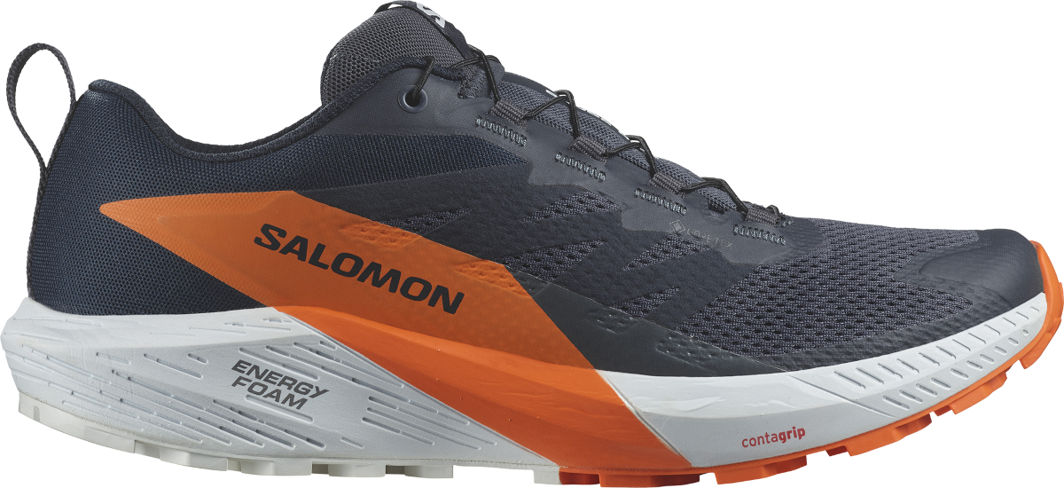 Кецове и обувки Salomon SENSE RIDE 5 GTX Черно | l47459400, 0