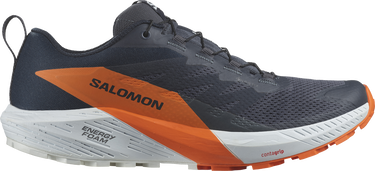 Кецове и обувки Salomon SENSE RIDE 5 GTX Черно | l47459400, 0